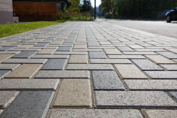 Best Driveway Pavers Near Me  in Holbrook, AZ